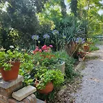 Carla - Vicino Riviera Del Conero E Ai Colli Dell' Infinito Анкона