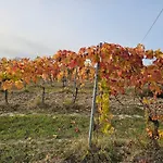 Carla - Vicino Riviera Del Conero E Ai Colli Dell' Infinito *