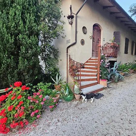 Carla - Vicino Riviera Del Conero E Ai Colli Dell' Infinito
