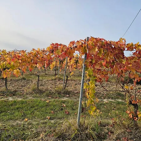 Carla - Vicino Riviera Del Conero E Ai Colli Dell' Infinito *