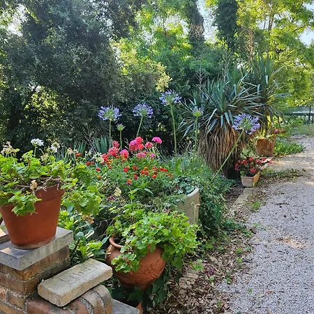 Carla - Vicino Riviera Del Conero E Ai Colli Dell' Infinito Ankona