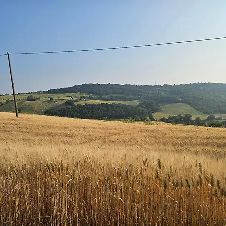 Carla - Vicino Riviera Del Conero E Ai Colli Dell' Infinito Ankona