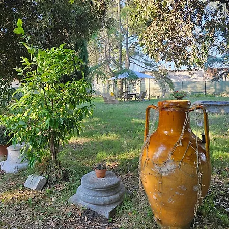 Carla - Vicino Riviera Del Conero E Ai Colli Dell' Infinito