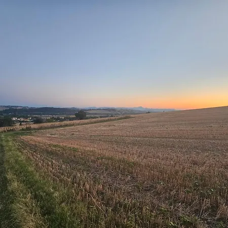Carla - Vicino Riviera Del Conero E Ai Colli Dell' Infinito