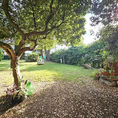 Carla - Vicino Riviera Del Conero E Ai Colli Dell' Infinito